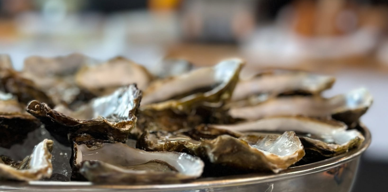 brunch_saint-gall_brasserie-lok_huitre