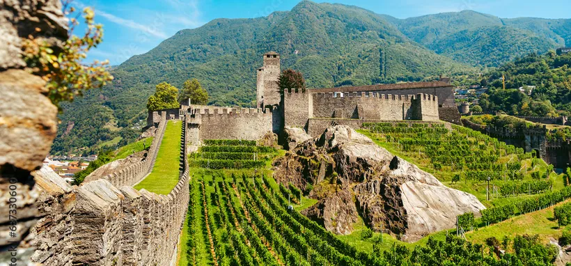 Château de Bellinzona entouré de vignes au Tessin